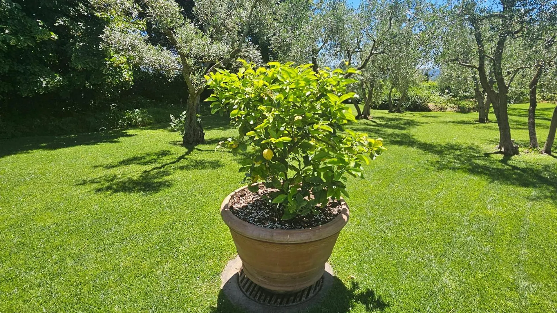 Villa Il Pino Florens